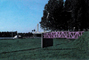 1998-OntwerpBrugRijkswaterstaat.jpg